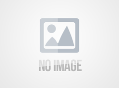 The Core Electric Fo