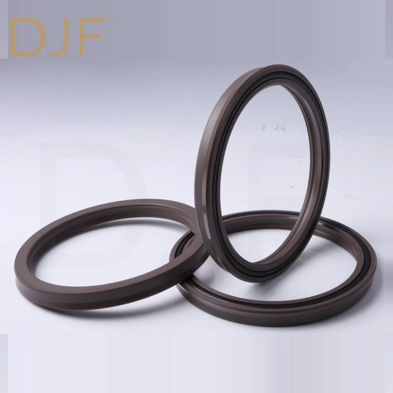 R06 Main Oil Seal Rod Seals | DJF