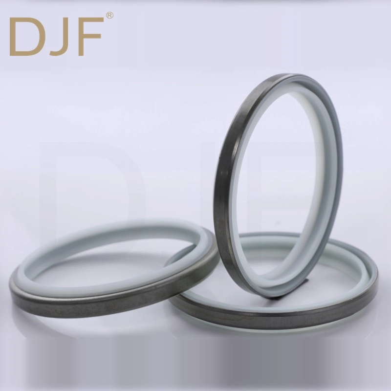 DKBI Wiper Seal / Dust Seal | DJF Factory Wholesale
