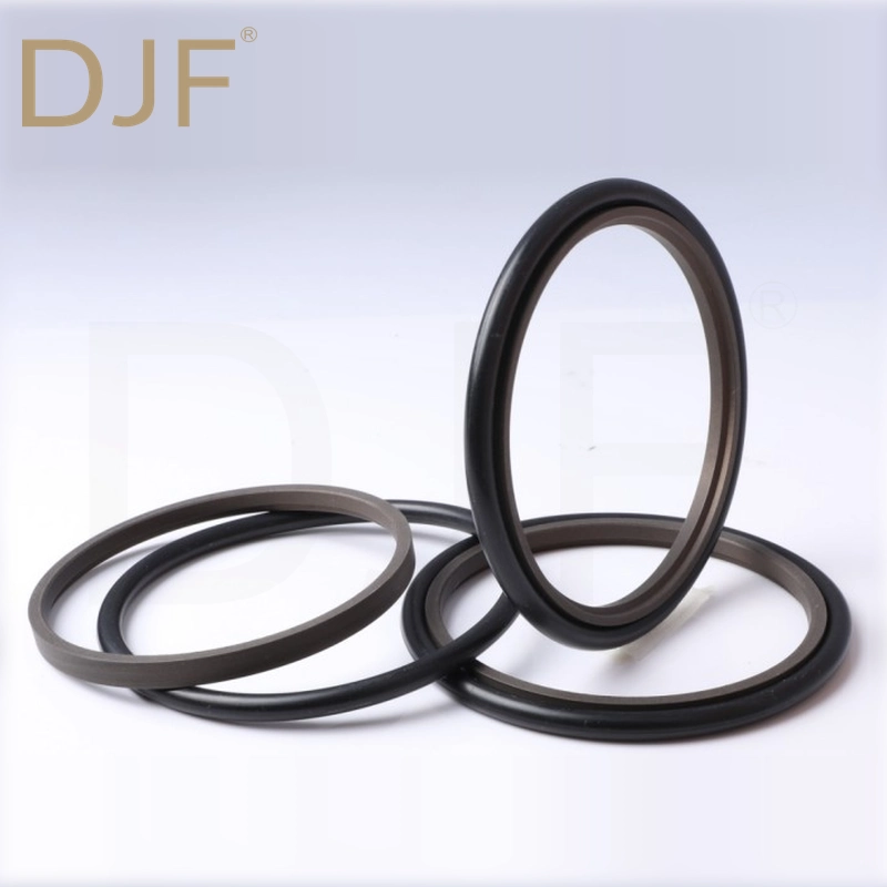 HBTS/GSJ Step Seal Glyd Ring Seal (PTFE + O-ring)
