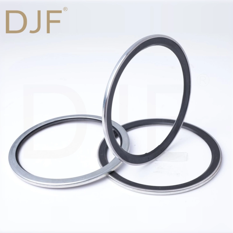VB/VAY Skeleton Dust Seal for Excavator Pivot Pins